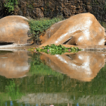 3. Haz de la meditación una parte de tu vida cotidiana.