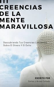 Portada 111 creencias de la Mente Maravillosa
